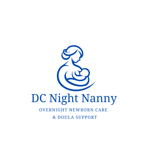 DC Night Nanny Logo